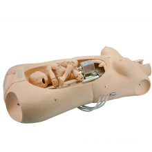 Nursing Training Maternal Delivery Simulator Baby Delivery Model